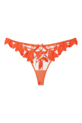 Lily Embroidery Cheeky Hipster Thong